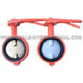 Lug Type Butterfly Valve